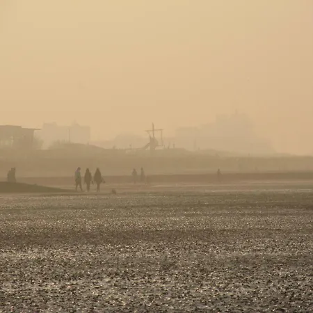 Residenz Albatros Apartment