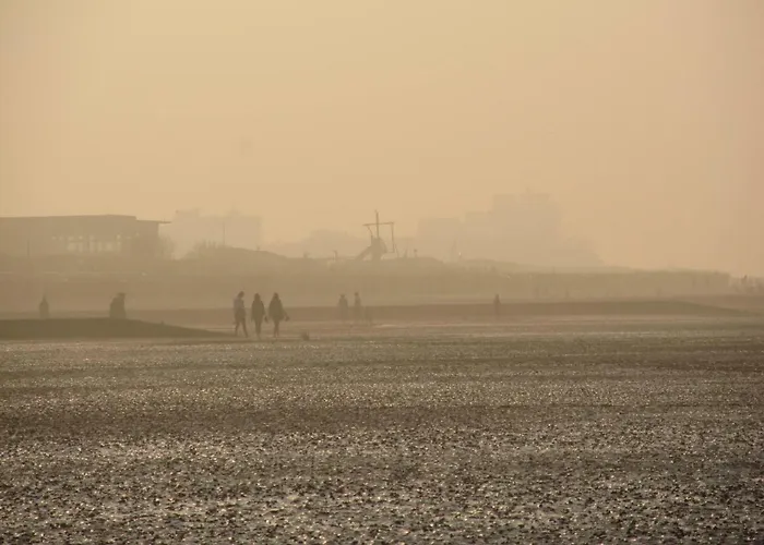 Residenz Albatros Apartman